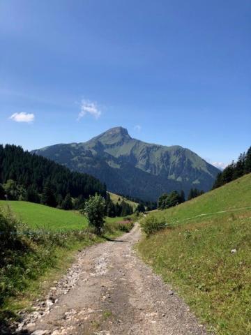 A304 La Perle De Savoie *